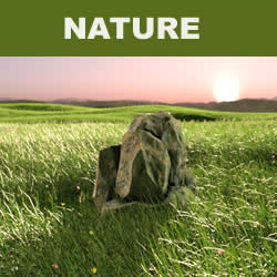 royalty free nature music